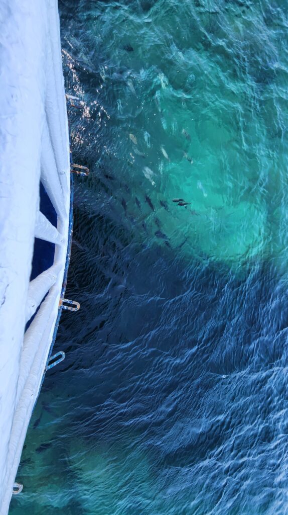 海中展望塔の外周真下