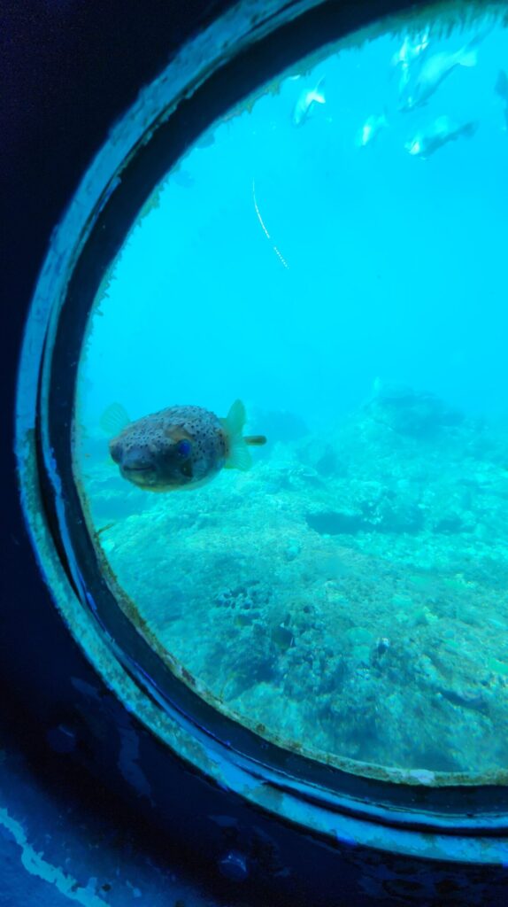 海中展望塔ハリセンボン