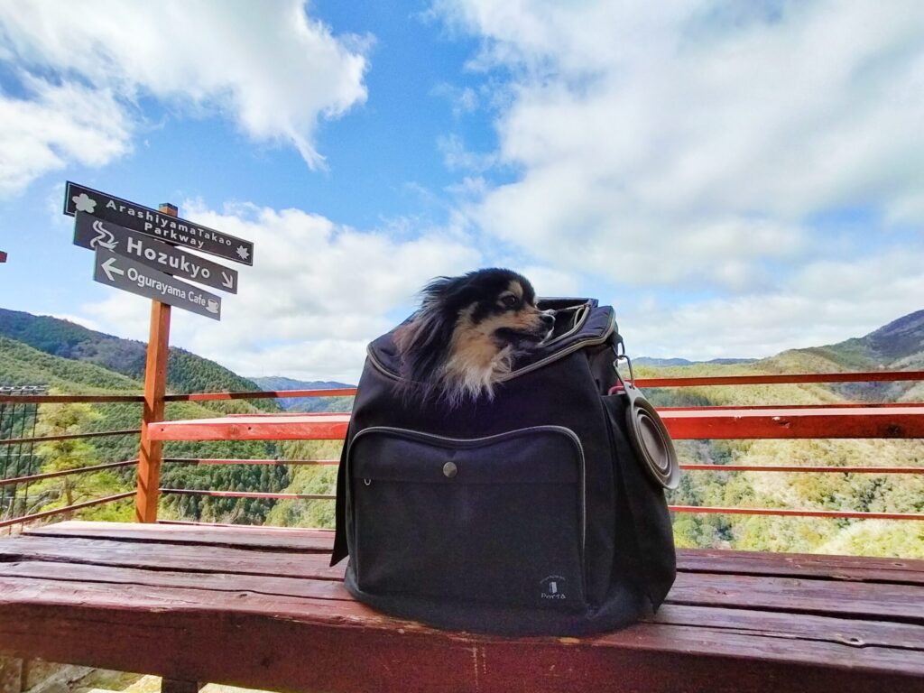 いちと小倉カフェテラス席