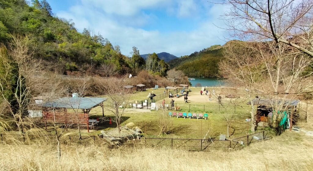 ドッグラン ワン遊ランド