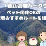 嵐山高雄パークウェイルート紹介アイキャッチ画像