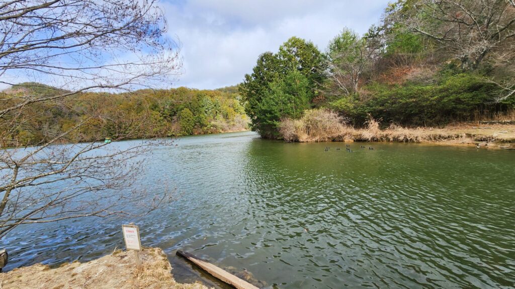 菖蒲谷池遊園地の池
