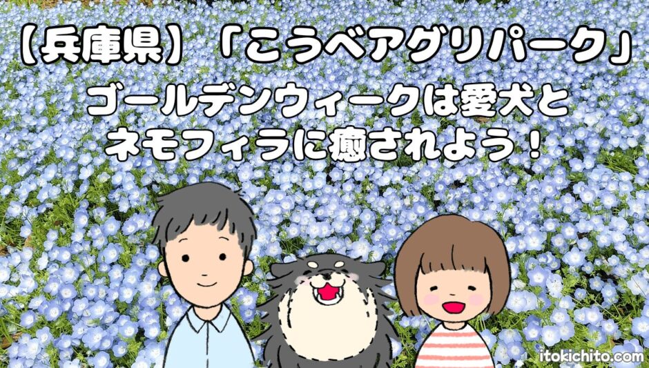 こうべアグリパーク　アイキャッチ画像