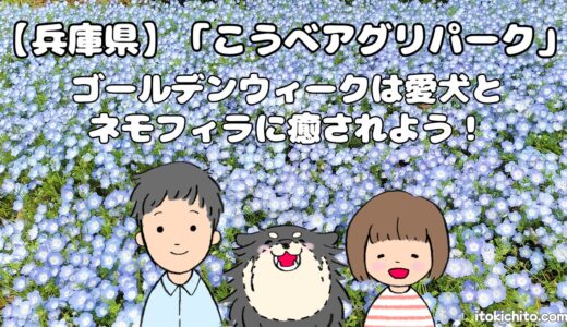 【兵庫県】ゴールデンウィークは愛犬と「こうべアグリパーク」のネモフィラに癒されよう！