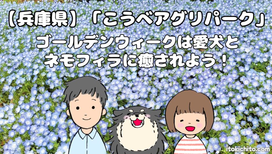 こうべアグリパーク-アイキャッチ画像