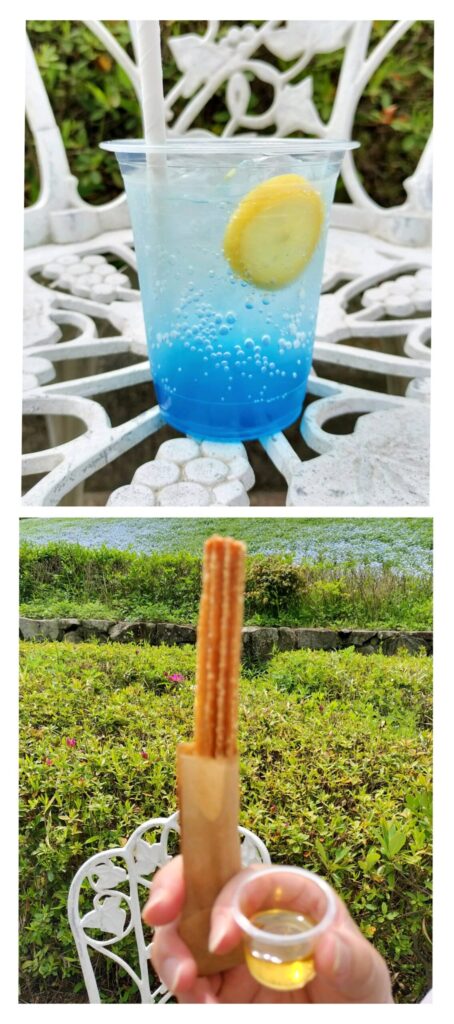 ネモフィラの丘エリアスイーツ