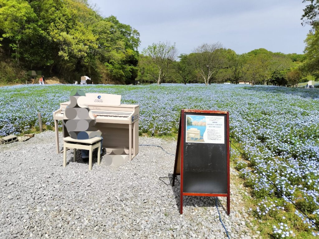 ネモフィラピアノ