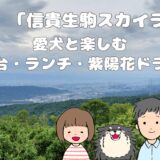 信貴生駒スカイライン アイキャッチ画像