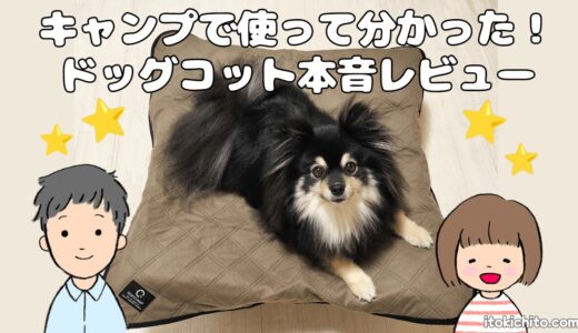 ドッグコットをキャンプで使ってみた！特徴・使用感を本音レビュー