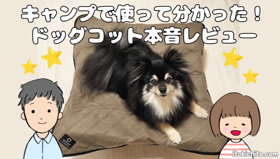 アイキャッチ画像
