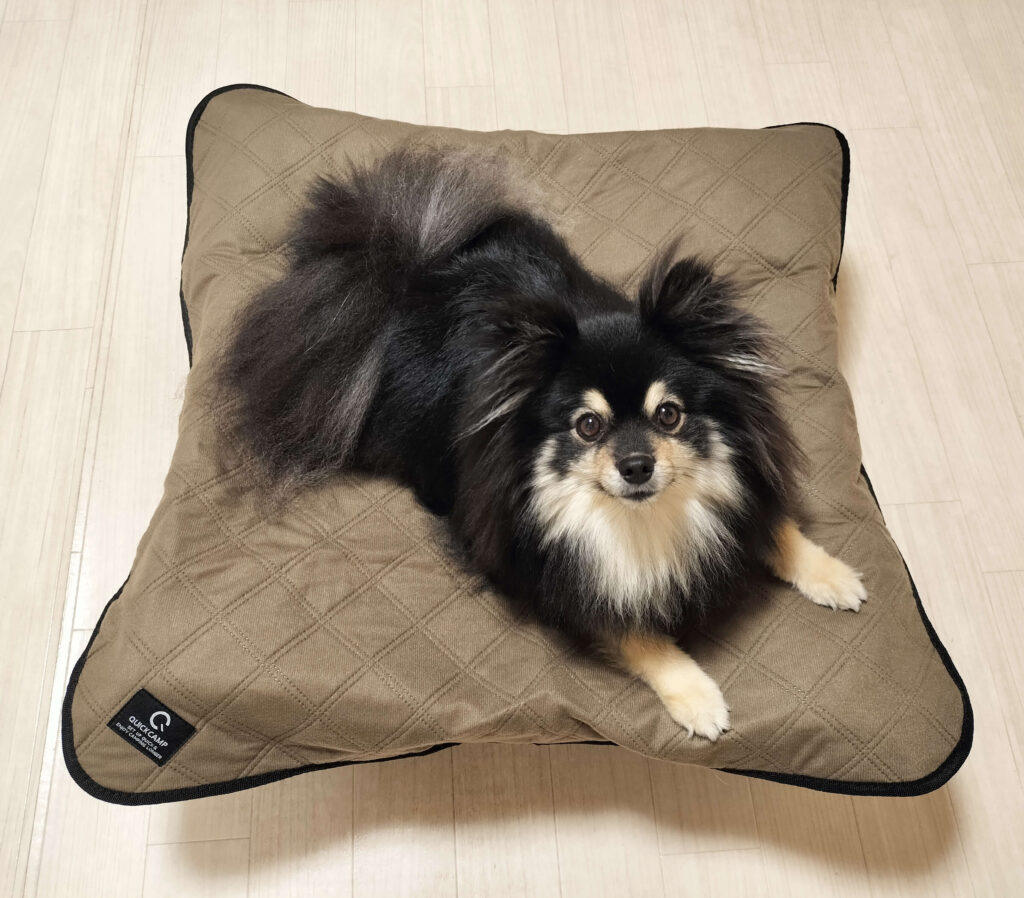 キツティングシートあり