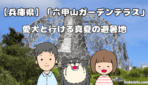 真夏でも涼しい避暑地！「六甲山ガーデンテラス」ペット同伴エリア・駐車場・気温を紹介