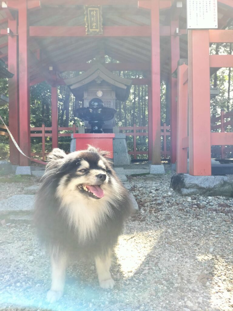 いちと清明堂