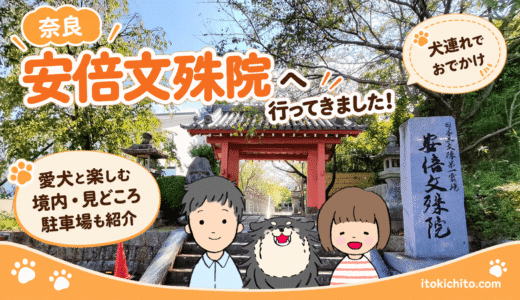 愛犬と安倍文殊院へ！犬連れで楽しめる境内・見どころ・駐車場を徹底紹介