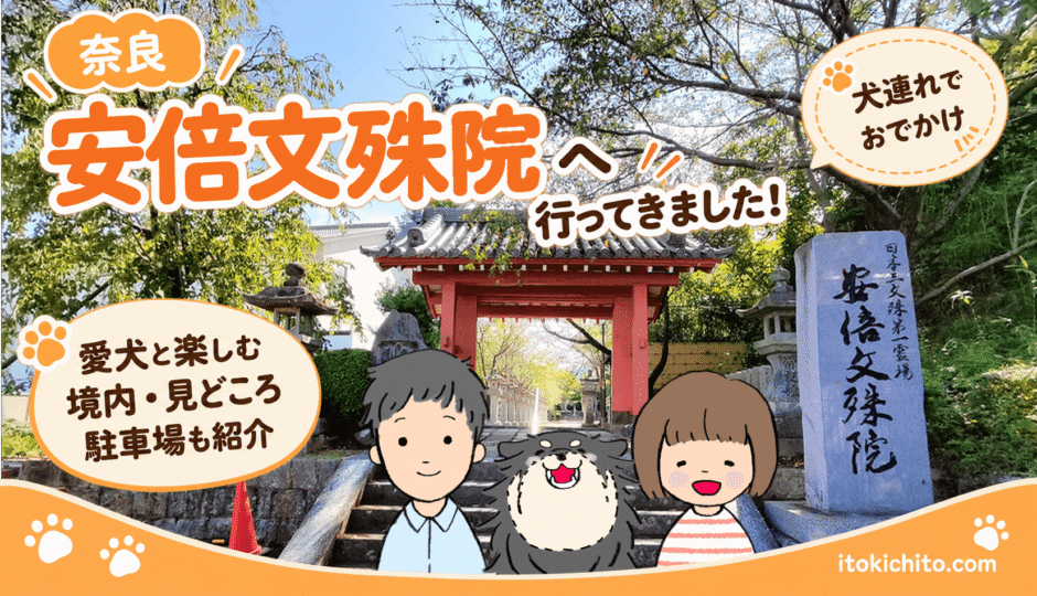 安倍文殊院　アイキャッチ画像
